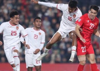 Đội tuyển Việt Nam