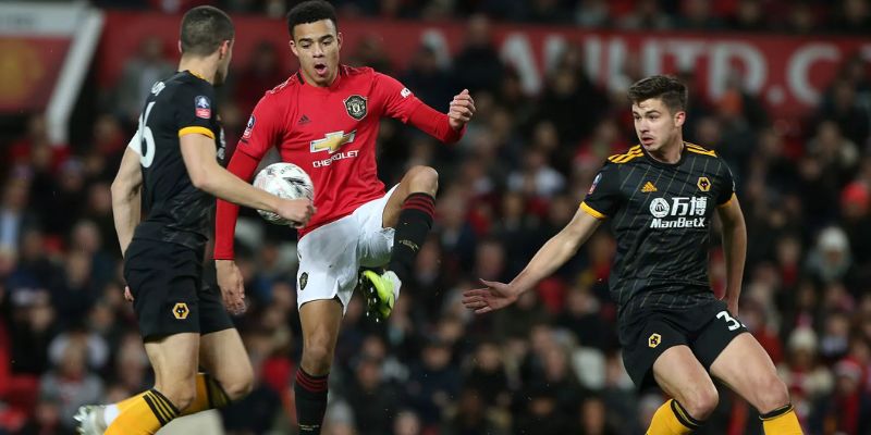 Thông tin lực lượng và đội hình dự kiến Wolves vs Manchester United